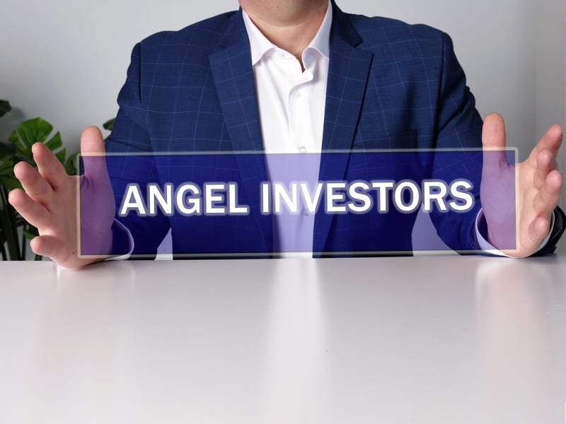 Need an angel to back your early stage startup? Here are 6 such types ...