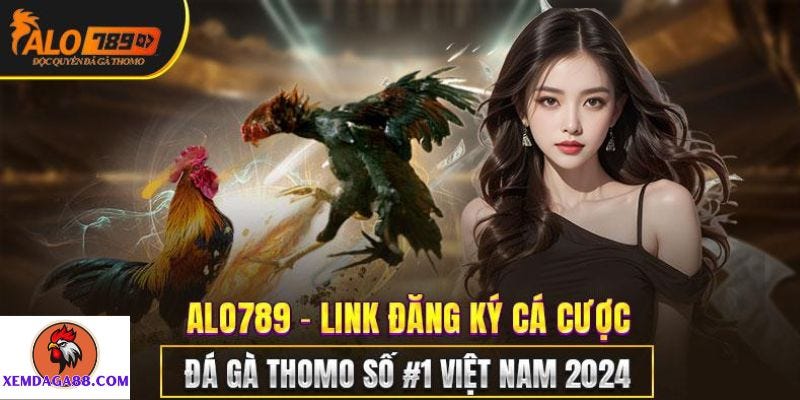 Trải Nghiệm Cá Cược Đá Gà Trực Tiếp Tại Alo789