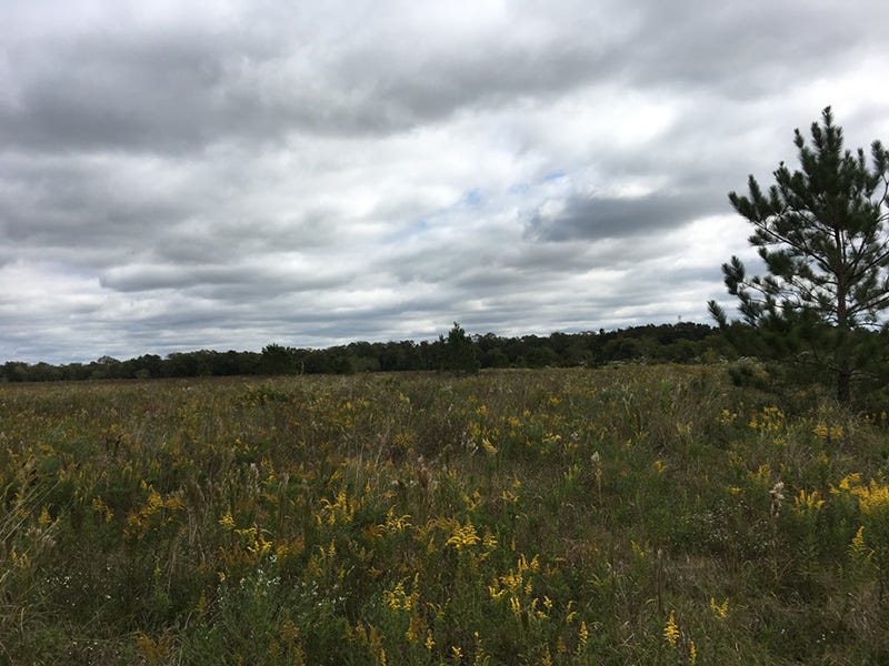 VeteransOnly Land Sale Open Now for Bidding by Texas VLB Texas