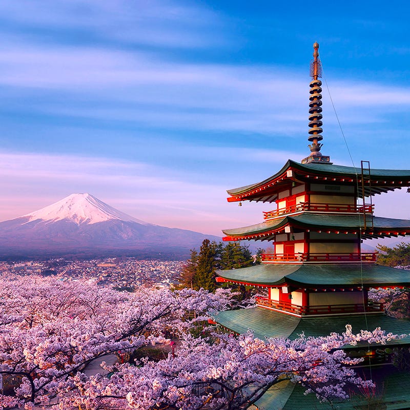 Discover the best Japan Trip Packages by Tokyo Travel Bureau Jun, 2023 Medium
