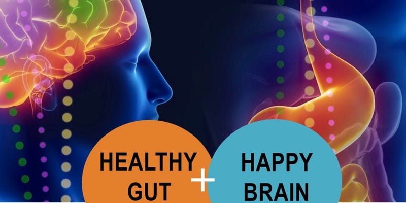 here-are-8-foods-that-you-can-eat-for-a-healthier-happier-brain-by