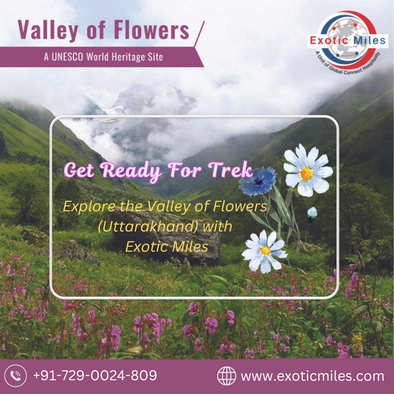 Unlocking the Beauty of Valley of Flowers Your Ultimate Guide to the