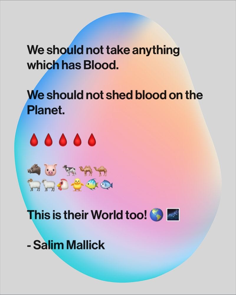 we-should-not-shed-blood-in-the-world-by-salim-mallick-medium