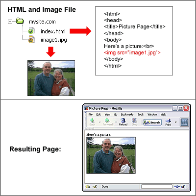 HTML DOCUMENT EXPLANATION. DOCTYPE html This is used to tell