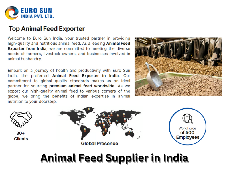 Choosing the Best Animal Feed Exporter in India — Euro Sun India by