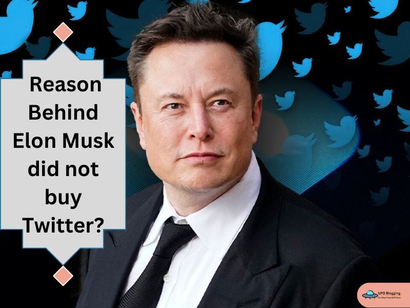 How Much Money Does Elon Musk Have Elon Musk Net worth 2023 by Shubhsjadhav Medium