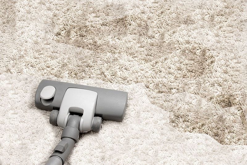 How To Remove Old Pet Stains From Carpet And Rugs by Angus Darvall