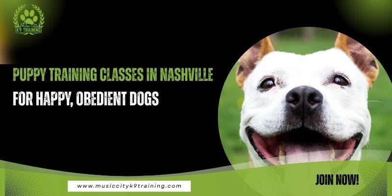 Puppy Training Classes in Nashville for Happy, Obedient Dogs