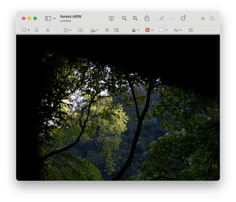 How to open a RAW file on Mac? There are 2 RAW image viewers! by