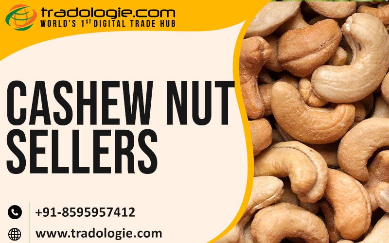 Cashew Nut Sellers Tradologie Medium