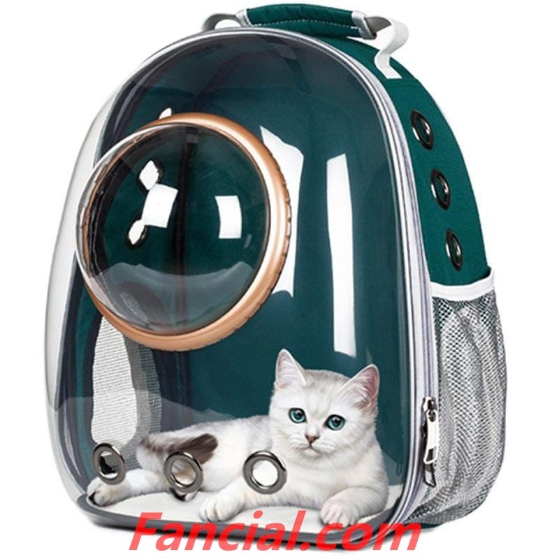 fancialAre Cat Backpacks Safe? Fancial Medium