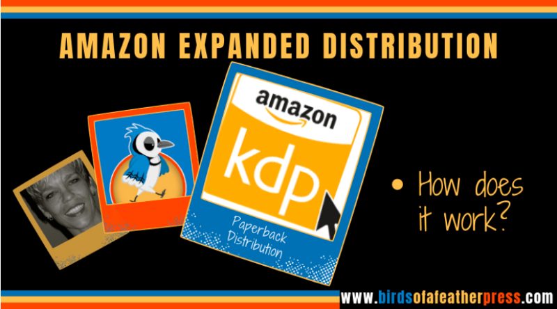 Do you know how Amazon’s Expanded Distribution works? | by Jay Artale ...