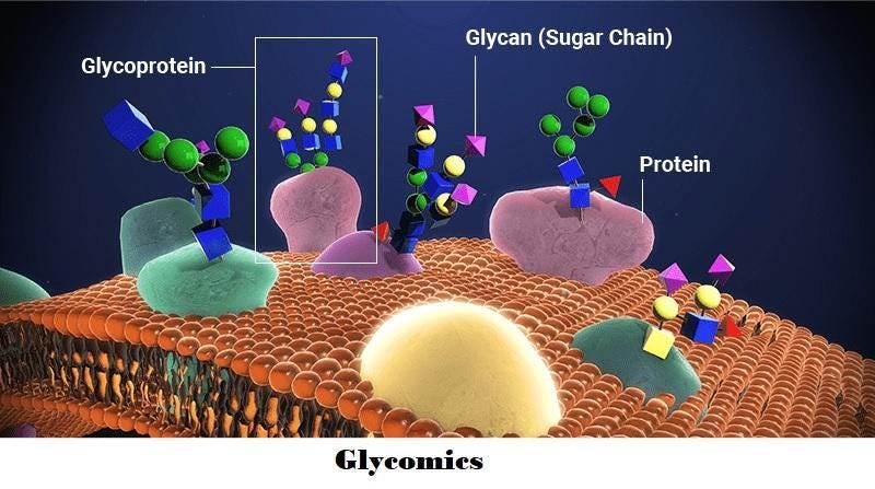 Glycomics Growth: The Rise of Customized Solutions in Biotechnology