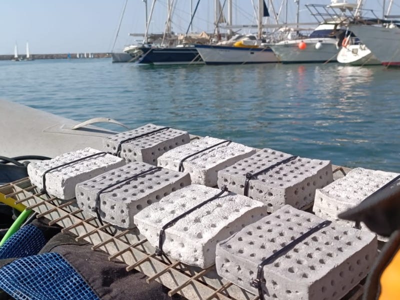 Ocean Ecostructures has developed an innovative biomaterial for the construction of structures for the regeneration of marine ecosystems.
