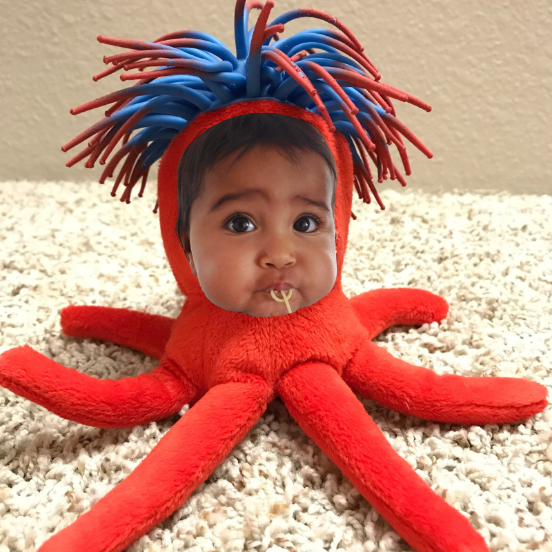 How to Wrangle an Angry Octopus while Typing with One Hand by Kyla