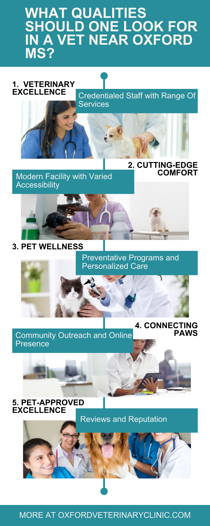 What Qualities Should One Look for in a Vet Near Oxford MS. Oxford