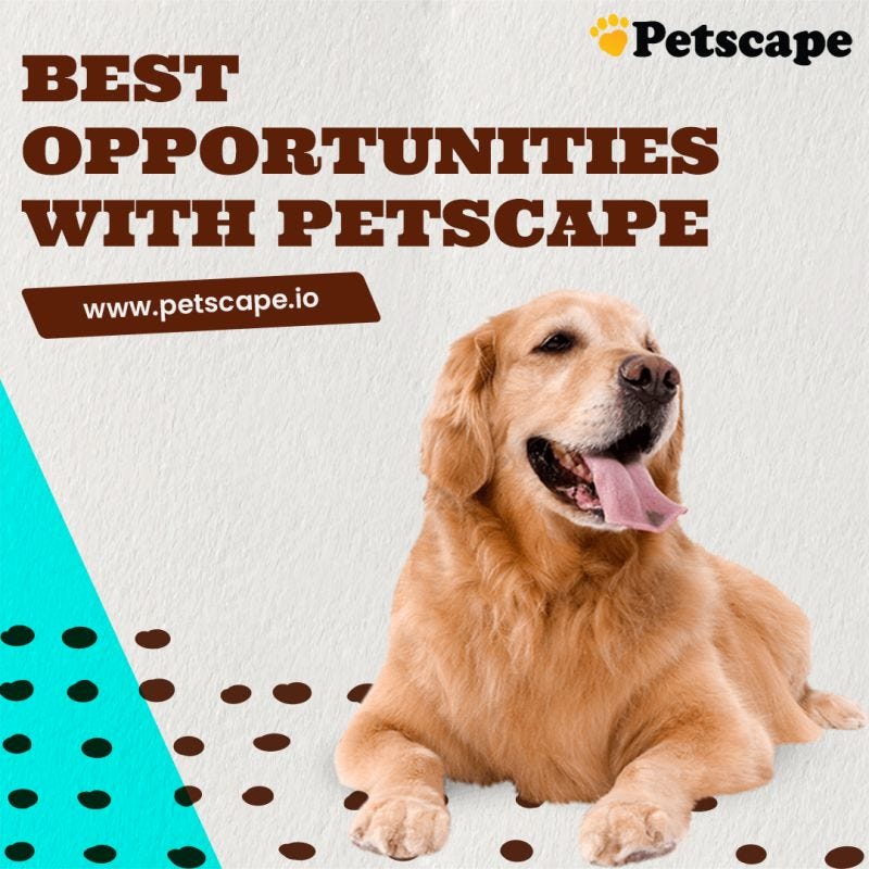 🐶 Benefits Of PetScape 🐶 Petscape Medium