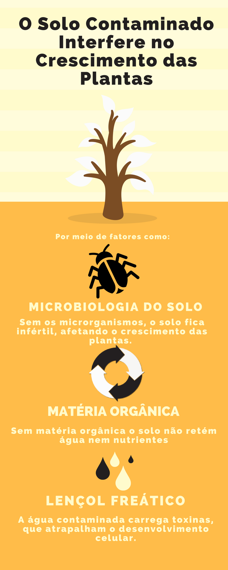 Os Impactos dos Agrotóxicos no Meio Ambiente. | by Ana Clara Abreu | Medium