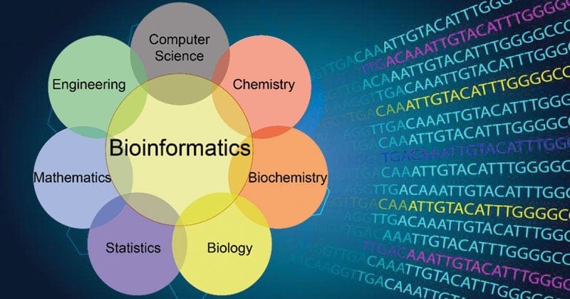 Cracking the Code: The Marvels of Bioinformatics | by Areeba Rafiq ...
