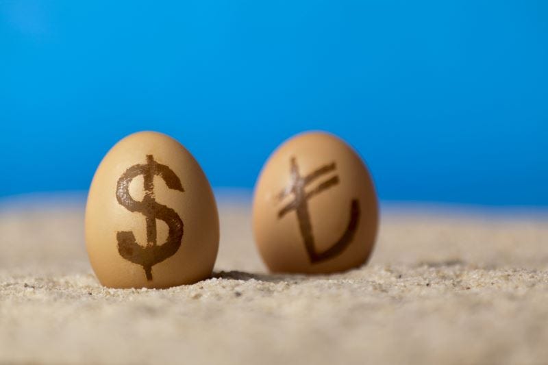Bir Sabah 1 Dolar 1 TL Olsaydı Ne Olurdu? Sabit Kur Rejimi Üzerine