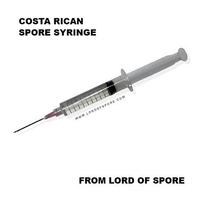 Costa Rican Spore Syringe - Lord of Spore - Medium
