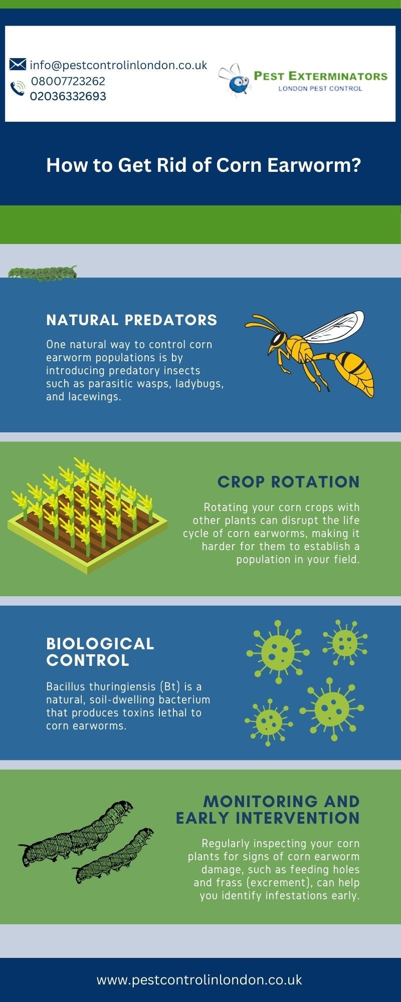 Controlling Corn Earworms Techniques for Elimination The presence of