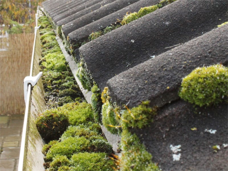 Moss Gutter Cleaning. When you decide to hire a moss gutter… by Roof
