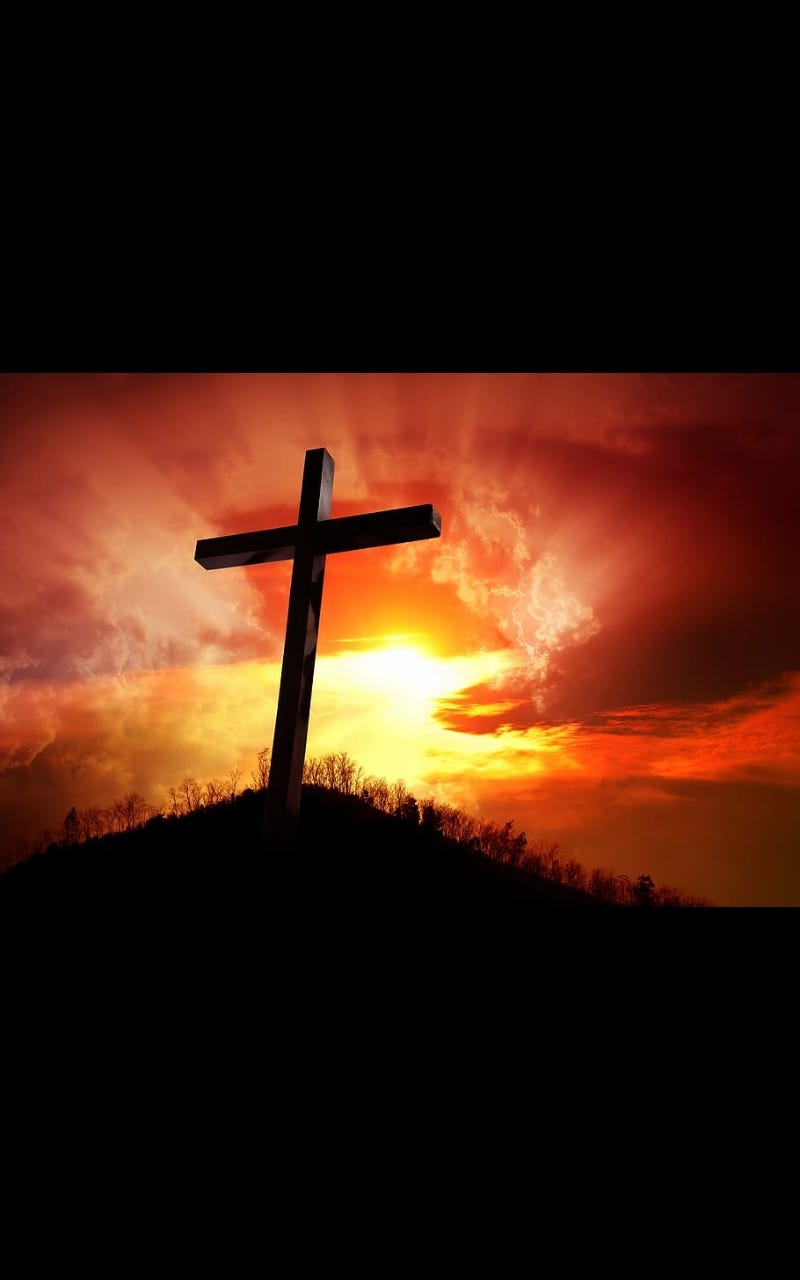 Daily Bread as Exit from the Jungle: The Hidden Meaning of the Lord’s