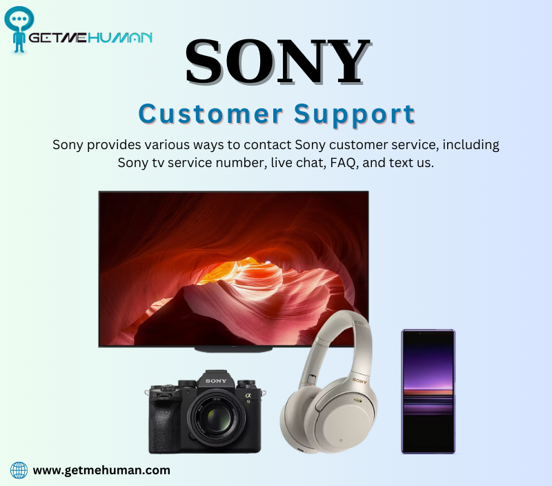 The Extraordinary Domain of Sony Customer Service by Ilma Sheikh Feb, 2024 Medium