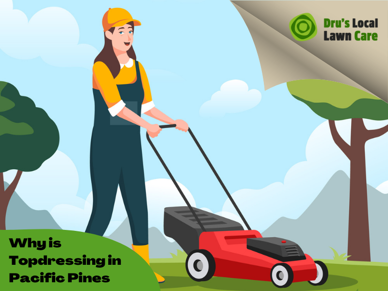 What Are The Benefits of Top Dressing in Pacific Pines by Drus Local Lawn Care AU Medium