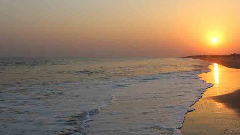 ODISHA TOURISM VISIT ODISHA visual data 6