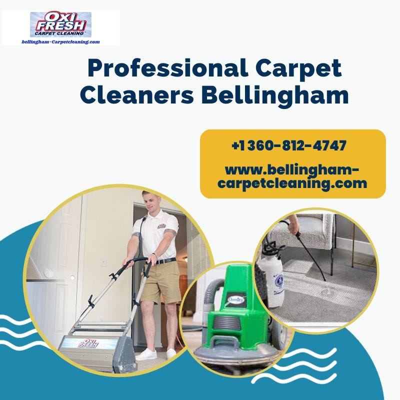 Carpet Care Excellence Unveiling Bellingham’s Premier Professional