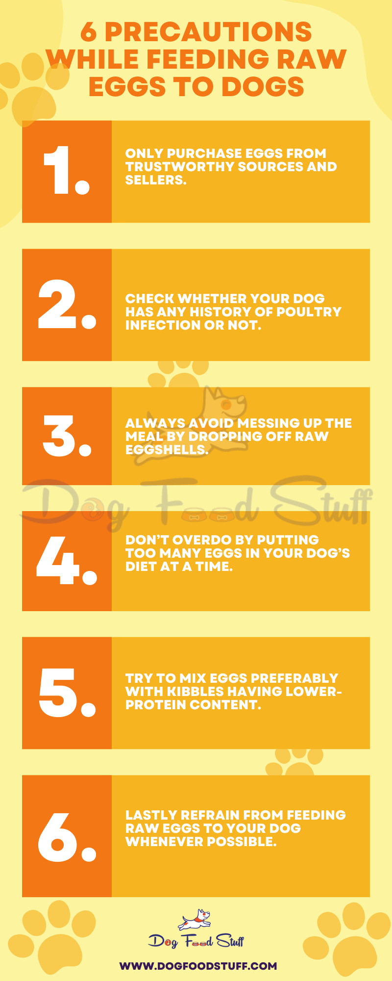 Feeding raw eggs to dogs? Read this first Sweta K Medium