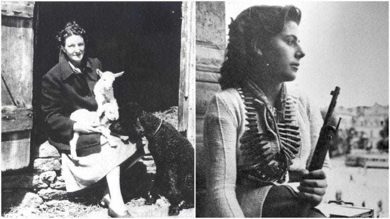 Biography: Who is Virginia Hall?