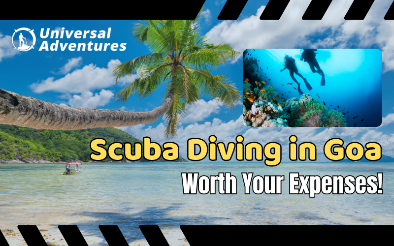 Scuba Diving in Goa Worth Your Expenses! by Your Travel Guide Medium