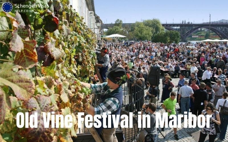 Old Vine Festival in Maribor Europe’s Oldest Wine