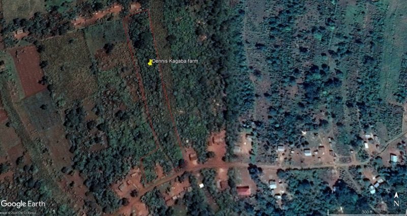 Geolocation Data and the EUDR: Key Insights and Challenges 📍