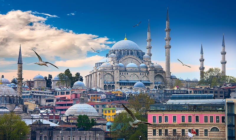 Unveiling Turkey’s Wonders: Unforgettable Holiday Packages with Flip Trip Holidays  by Flip 