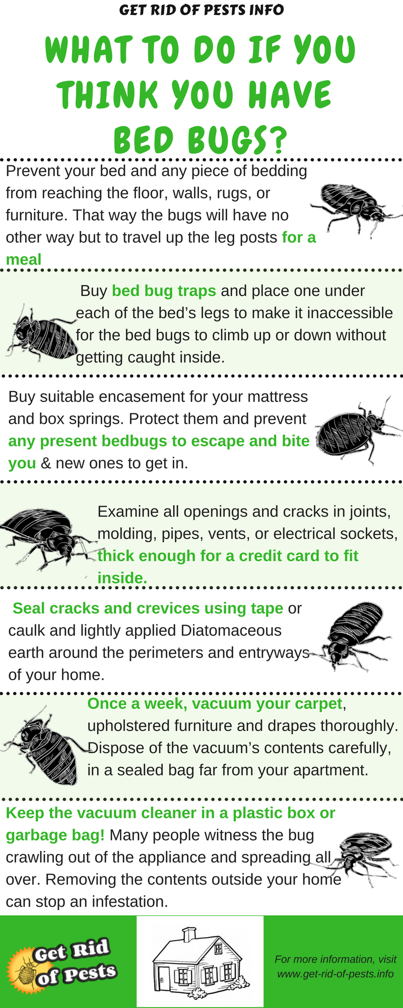 Bed Bug Infestation Treatment