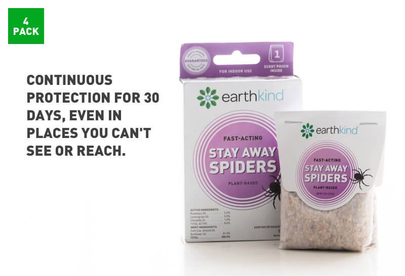 How to get rid of spiders, Stay away from spiders, spider repellent