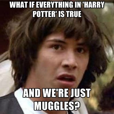 18 'Harry Potter' Memes That Muggles Thought Were The Best Of The Best In  2022