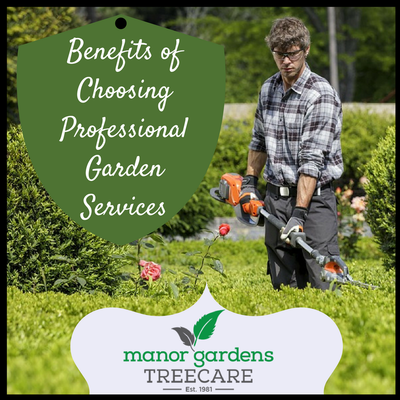 Key Benefits of Choosing Professional Garden Services for Your Lawn