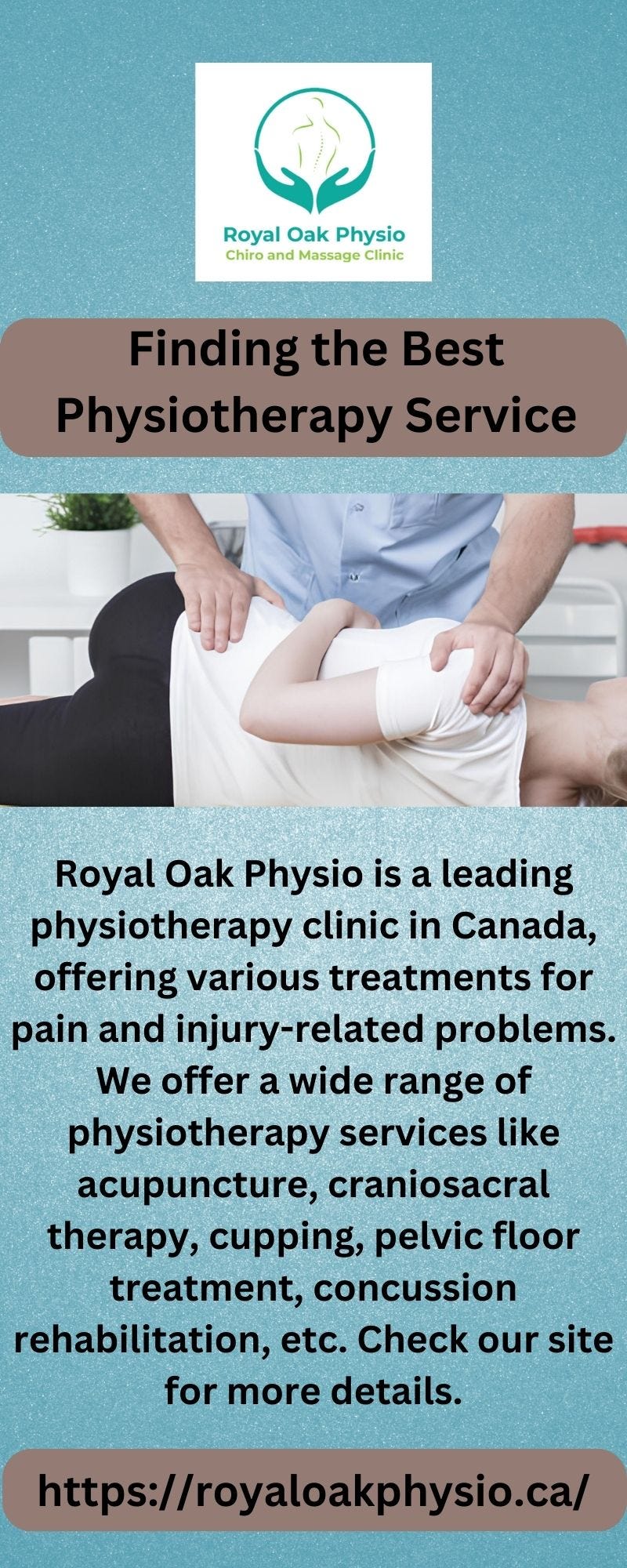 Finding the Best Physiotherapy Service - Royaloakphysiova - Medium