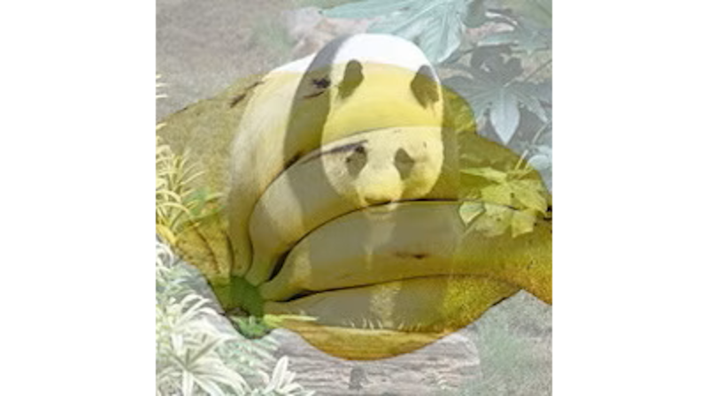 About five years ago, I used this image for testing object detection.