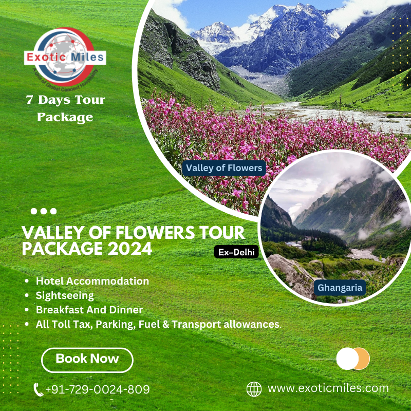 Valley of Flowers Tour Package Priya Deshmukh Medium