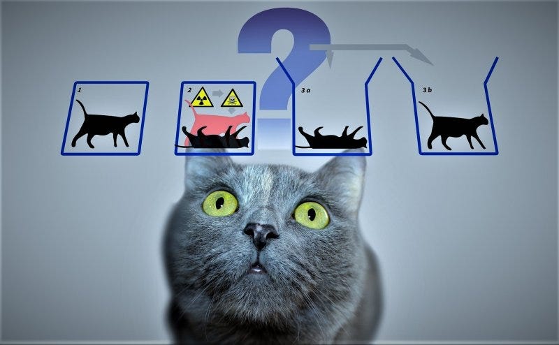 Schrodinger’s Cat Theory: A Strange Theory of Quantum Mechanics | by ...