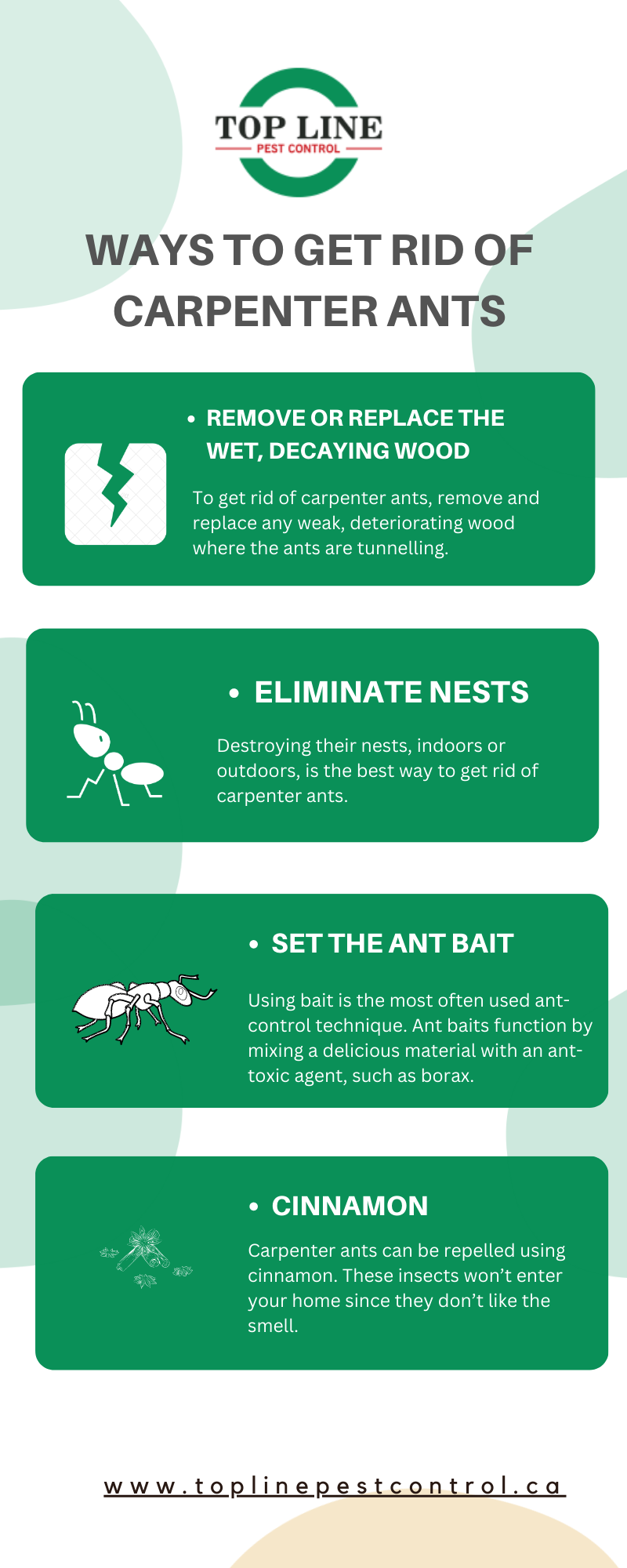 Ways to get rid of carpenter ants The most serious bug problem you