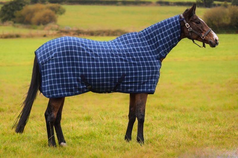 Everything You Need to Know About Horse Rugs A Comprehensive Guide