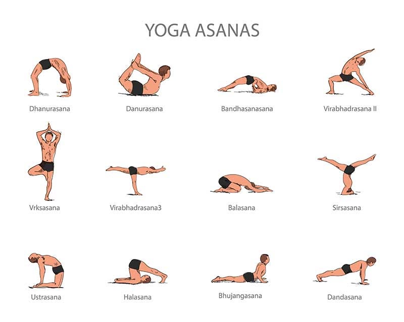 How many yoga asanas are there?( In-depth Analysis), by Nayra