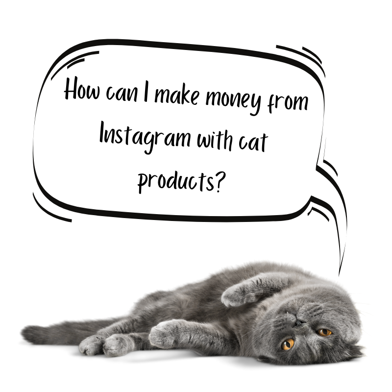 Can cat Instagrams make money?